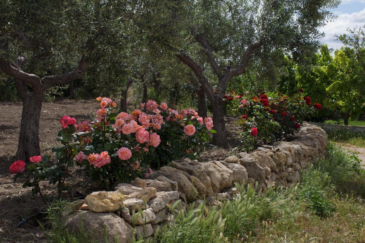 Вилла Trullo Del Cavaliere Delle Gravine Кастелланета Экстерьер фото